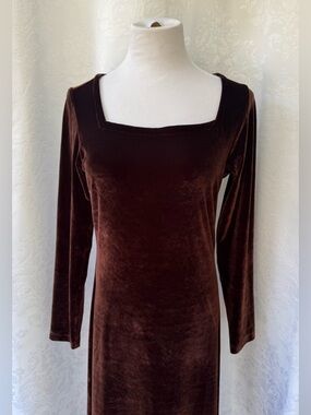 Boston Proper Brown Velour Maxi